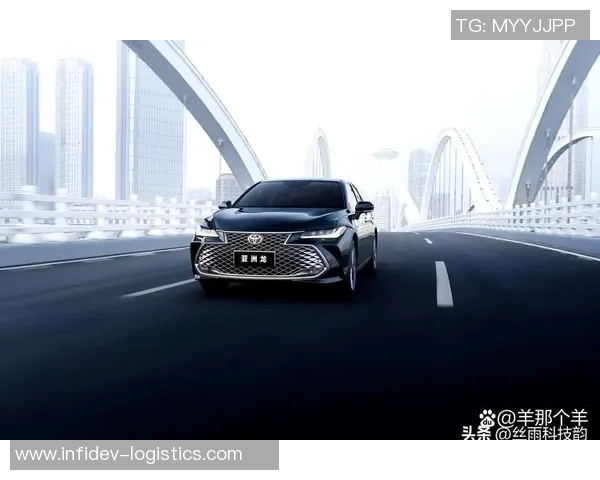 南京网球队在洲际杯积分榜上以100分稳居第一名展现强劲实力